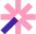 Vizard